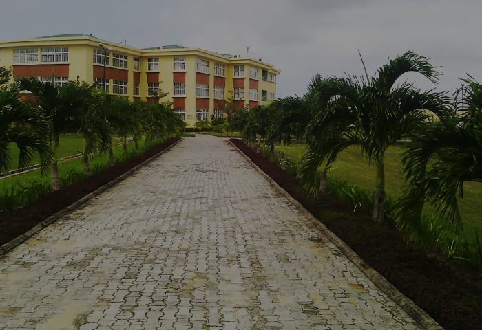 school image