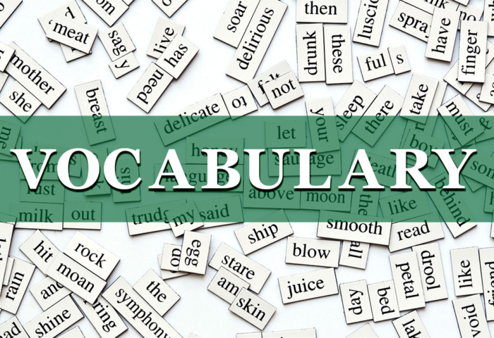 vocabulary game for kids